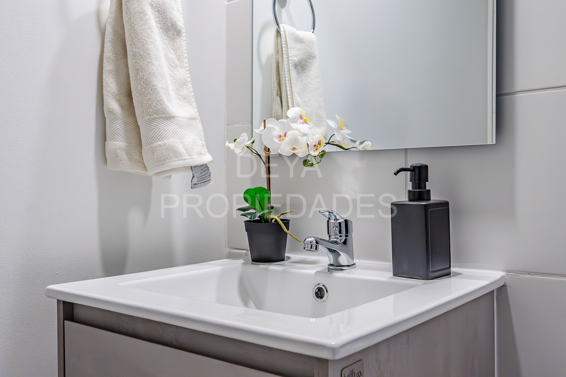 07022025-_DSC0697-Mejorado-NR-Editar