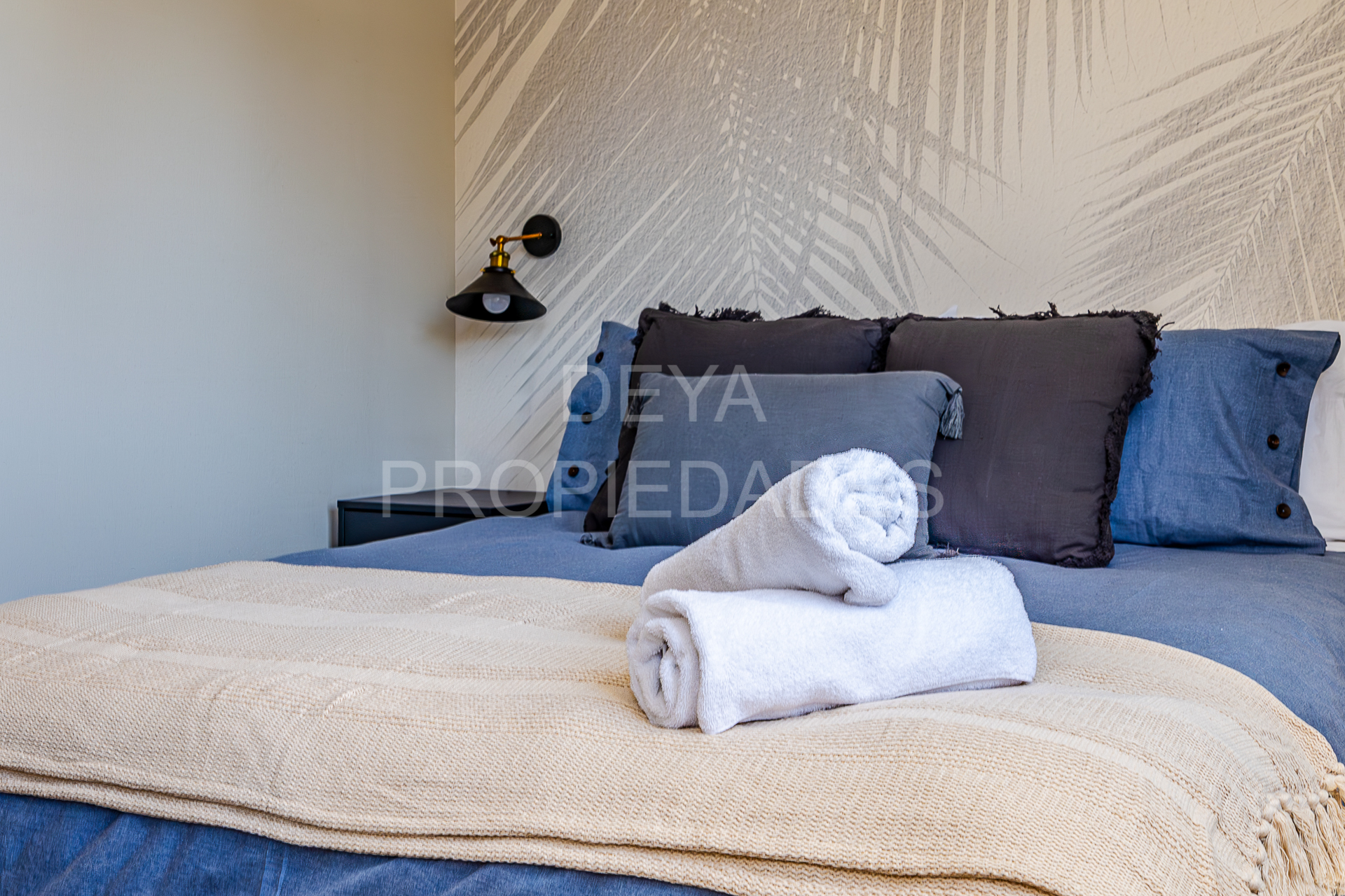 07022025-_DSC0738-Mejorado-NR-Editar