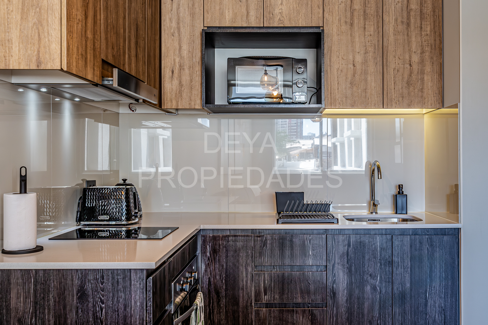 07022025-_DSC0774-Mejorado-NR-Editar