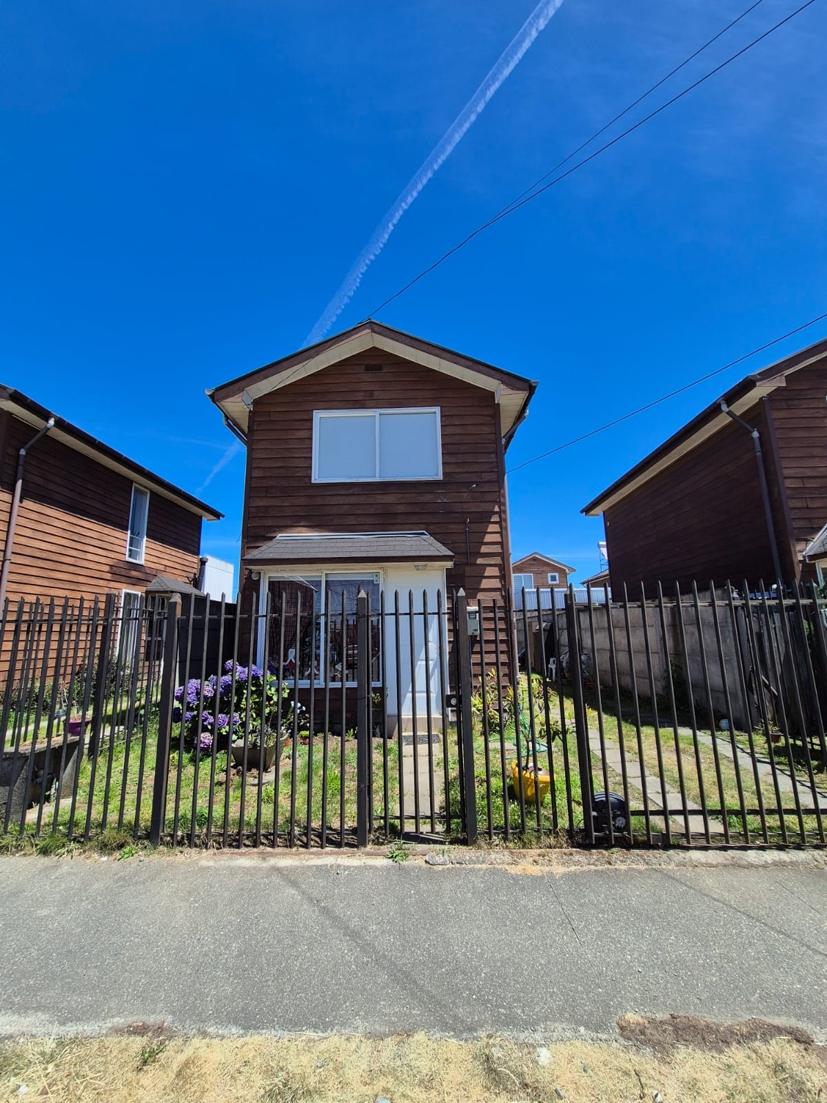 WhatsApp Image 2026-01-08 at 14.50.145