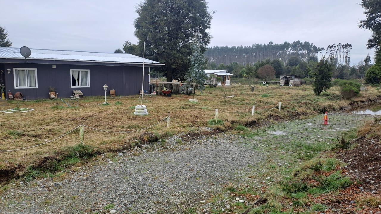 WhatsApp Image 2026-03-26 at 11.31.551