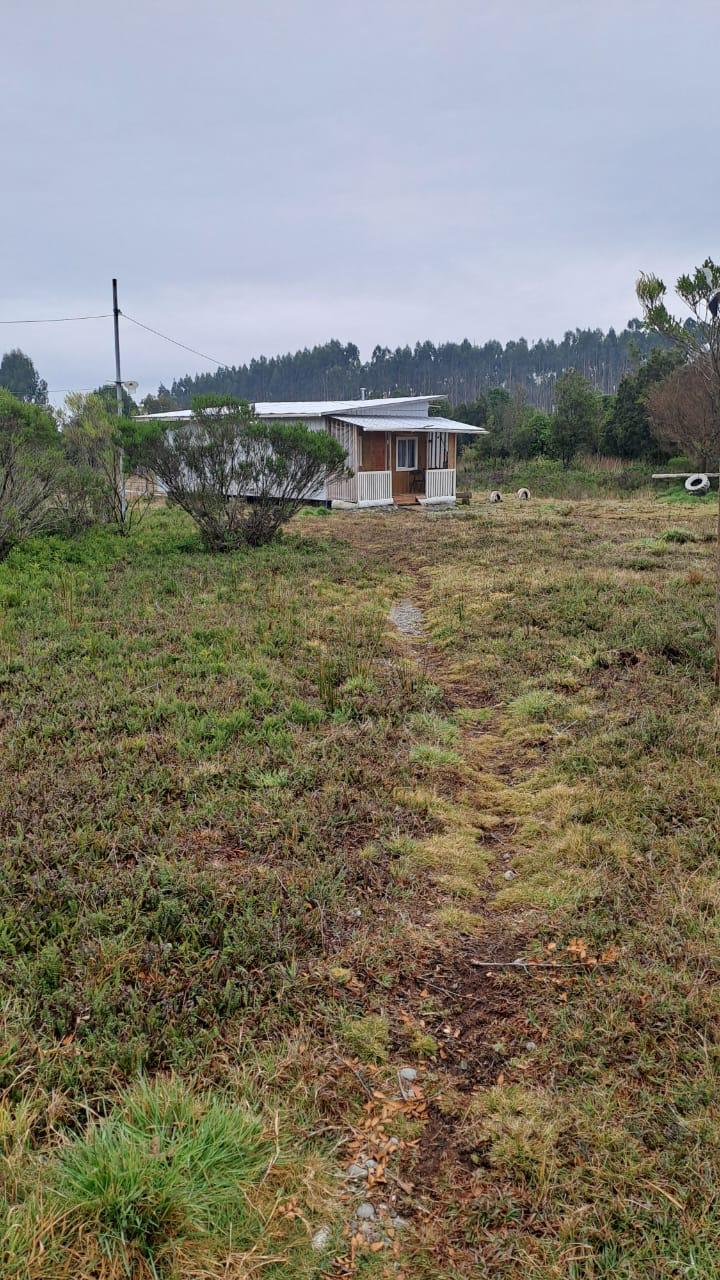 WhatsApp Image 2026-03-26 at 11.31.552