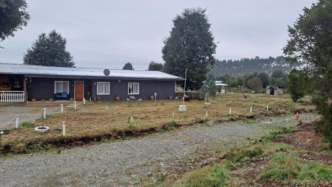 WhatsApp Image 2026-03-26 at 11.31.564