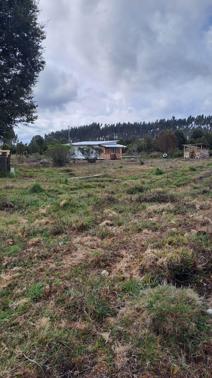 WhatsApp Image 2026-03-26 at 11.31.566