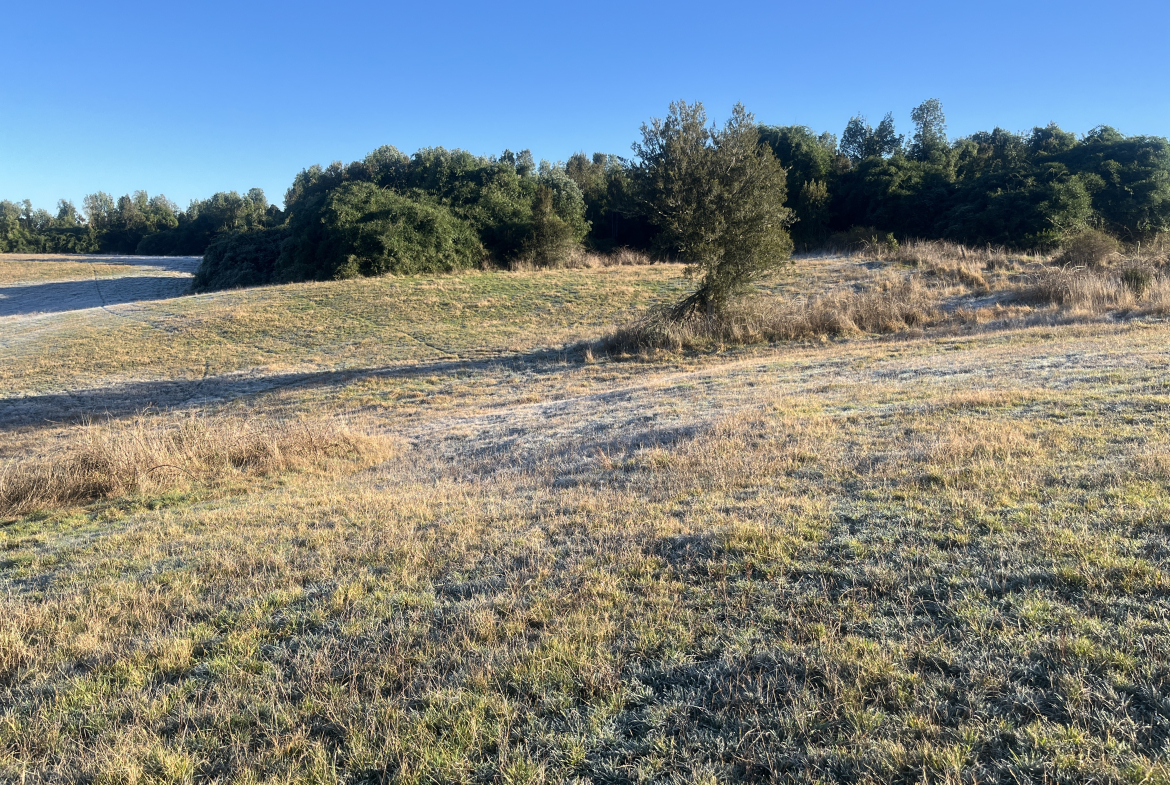 Parcela en sector del Peñol